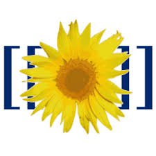 Fichier:Mediawiki 01.jpg