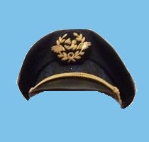 Casquette AF.jpg