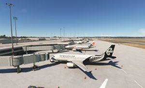 Auckland 045.jpg