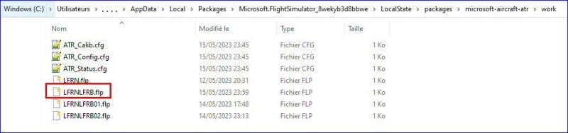 Fichier:Simbrief 03.jpg