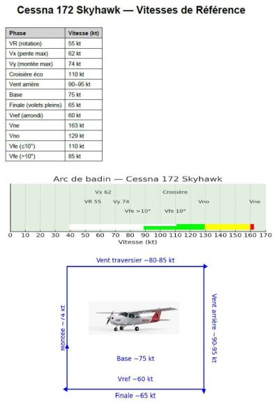 01 C172-G1000.jpg