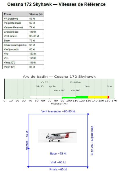Fichier:01 C172-G1000.jpg