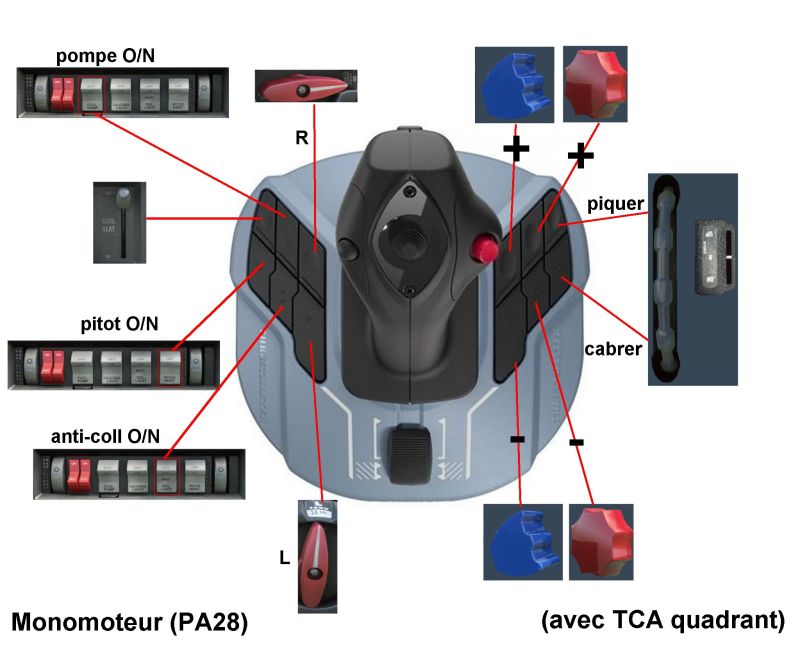 TA-Airbus 02.jpg