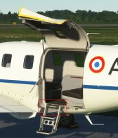 TBM850 porte-pax 02.jpg