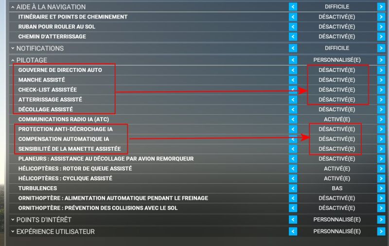 Assistance manettes.jpg